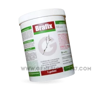 Buying_Brafix_online